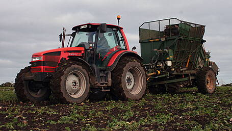 FARM CLASSIC: Italian Rubin 120 was not just more of the SAME Image