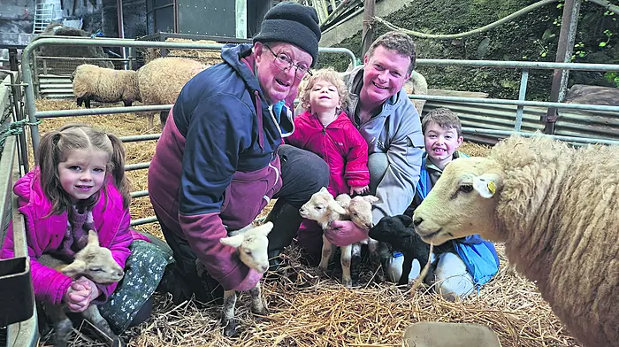 Bantry family farm welcomes quintuplet lambs Image