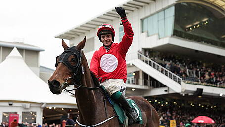 Never give up, says Sean O’Driscoll after his first Cheltenham win Image
