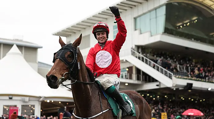 Never give up, says Sean O’Driscoll after his first Cheltenham win Image