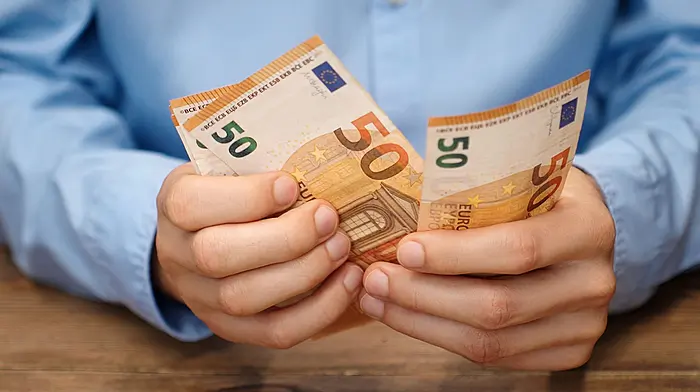 WEST CORK FARMING: How to create a cash flow budget Image