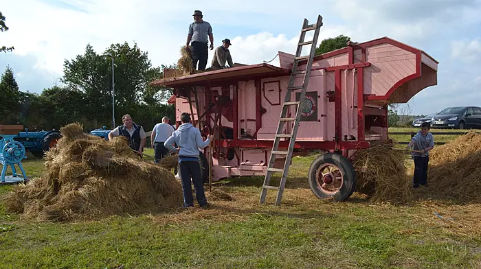 Mike O'Donovan's threshing set at the Sam Maguire Festival in Mallabracka circa 2014.  Photo courtesty of Tommy Collins and Sandra Maybury.