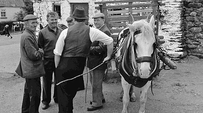 Colum Cronin took this photo during the making of the film 'Broken Harvest' in Castletownkinneigh during the summer of 1994.  From left: Charlie Dullea, Pat Murphy, Billy Cotter (all three deceased, RIP) and Noel Crowley (with his back to camera).

The film was set in 1950s Ireland, written and directed by Maurice O'Callaghan, produced by Jerry O'Callaghan, and involved great numbers of locals. Colum recorded the music for the soundtrack in his studio.  (Photo: Colum Cronin)