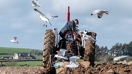 West Cork farming in photos Image