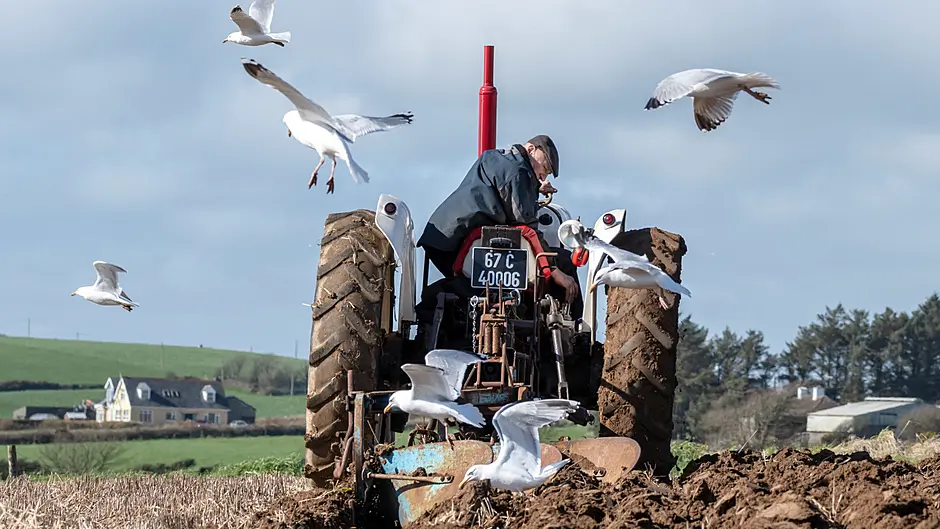 Eddie O’Neill (Ballinadee) ploughing with a 1967 David Brown 1200 tractor and three furrow plough at the De Courcey Classic and Vintage Club members’ tillage day in Garrettstown with views of the Atlantic ocean, the Old Head of Kinsale, Garrettstown beach and Garrylucas beach on a breezy and sunny spring day.
Picture: David Patterson, Tractor Run - Cork