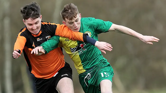 ‘Being underdogs will suit us,' says Johnny Lawless, as 2025 beaten finalists Ardfield back in the Beamish Cup final Image