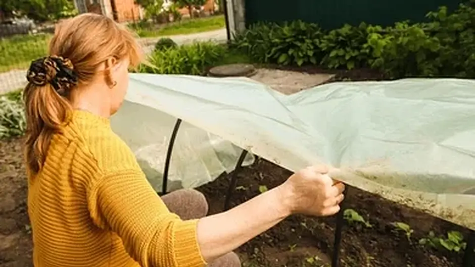 Paying it forward: Neighbours helping neighbours and the West Cork Time Bank helping to achieve it Image