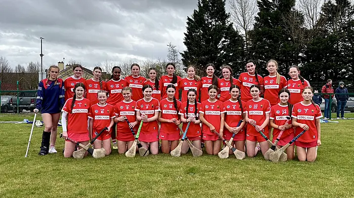 CAMOGIE ROUND-UP: Cork U23s through to Munster final Image