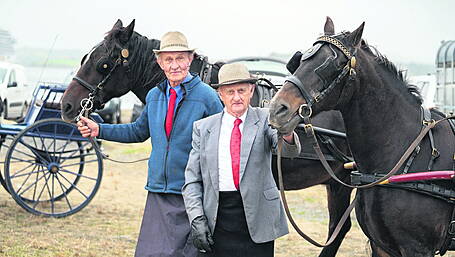 Funding of €76,200 for nine West Cork agricultural shows Image