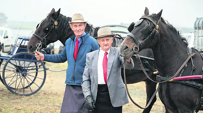 Funding of €76,200 for nine West Cork agricultural shows Image