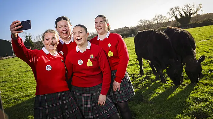 ‘Angus Advocates’ take national prize and bag €2,000 for third level journey Image