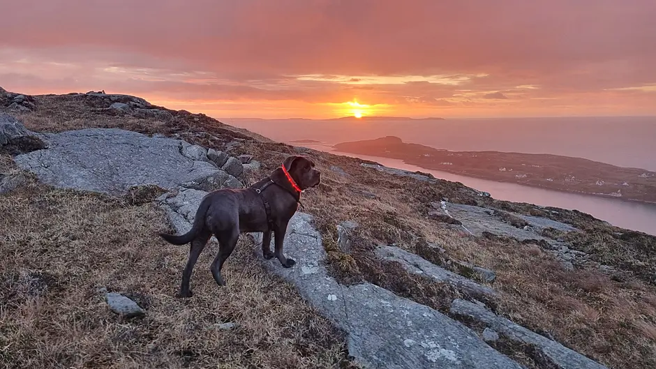 Reader’s Picture of the Week Image