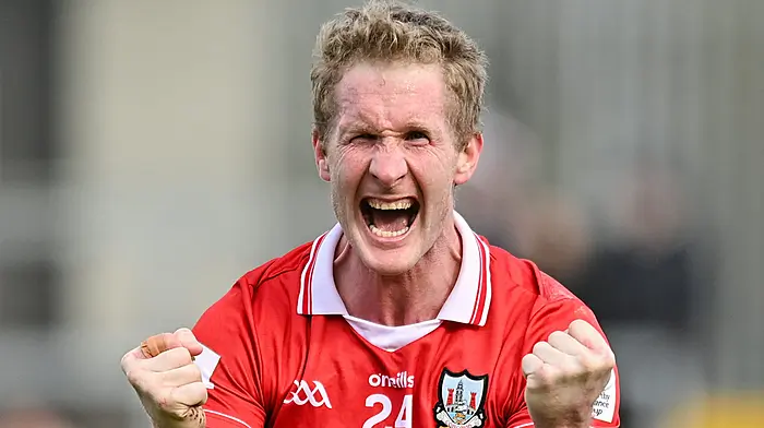 Cork deliver to end decade outside Division 1 Image