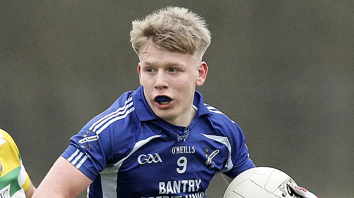 Breakout star Dara Sheedy ready for big stage in Division 2 decider Image