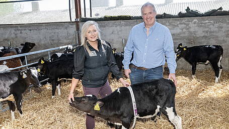 Select milk replacers carefully to ensure top calf development and growth Image