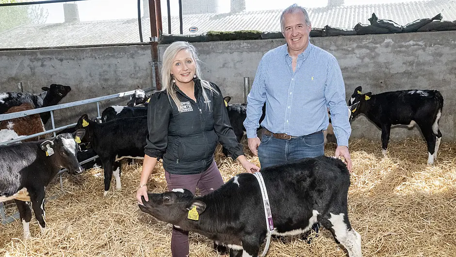 Select milk replacers carefully to ensure top calf development and growth Image