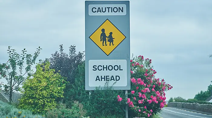 Pedestrian crossing in Leap will provide safer access to school Image