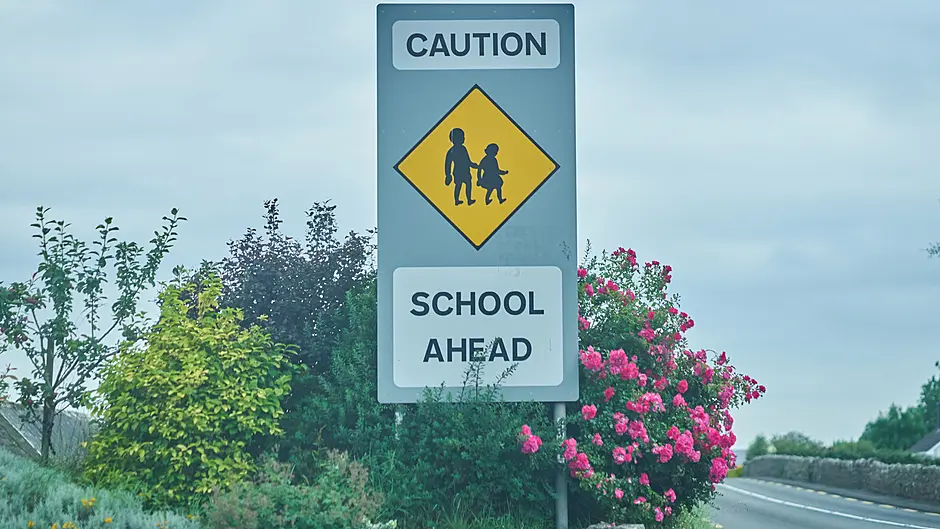 Pedestrian crossing in Leap will provide safer access to school Image