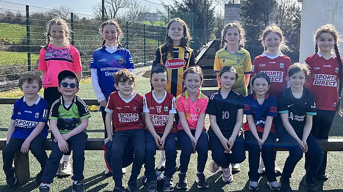 Dreeny National School proudly supported the jersey day for Féile O’Sullivan. The school was full of colour as students and staff wore their favourite jerseys.