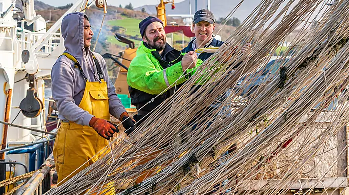 Vicente Acquiot, Manuel Rodringeuz, and Michael Harrington cleaning their nets after coming ashore in Castletownbere Picture: Anne Marie Cronin Photography