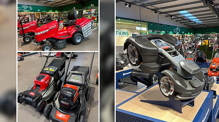 HOME & GARDEN: How to choose the perfect lawnmower for your garden Image