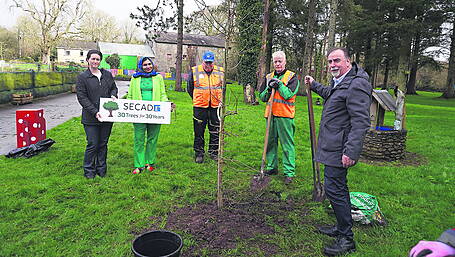 Native trees celebrated and planted Image