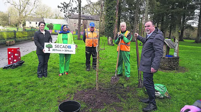 Native trees celebrated and planted Image