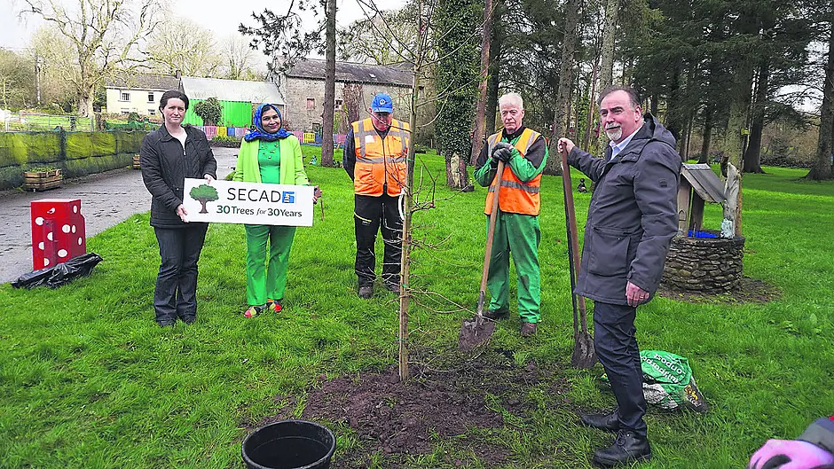 Native trees celebrated and planted Image