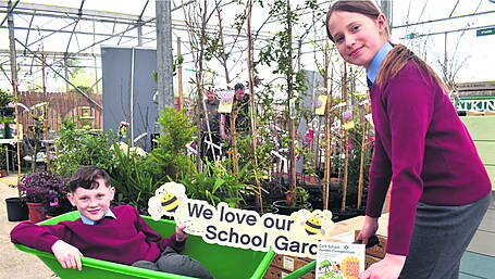 The Muintir na Tíre  garden competition Image