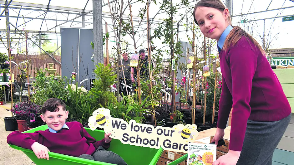 The Muintir na Tíre  garden competition Image