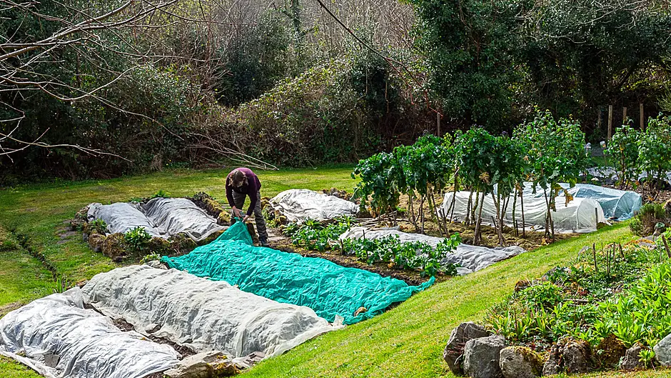 GARDENING: Seize the spring light Image