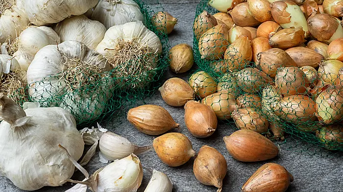 GARDENING: Autumn planting and preparing for the winter Image