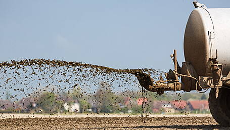 Slurry extension welcomed, says IFA Image