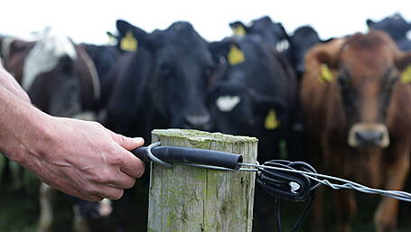 Rising fuel costs ‘pushing farmers to the edge’ Image