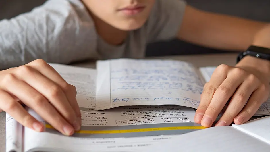 Effective Teaching Changes Lives: Dyslexia Ireland calls for mandatory dyslexia training for all teachers Image