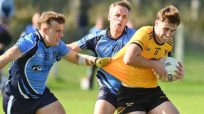 CONTENDERS RANKED: Who will rule the Carbery Junior A Football Championship? Image