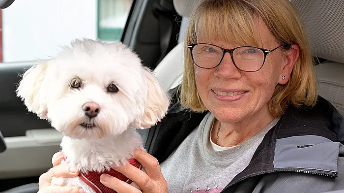 Paula O'Brien from Rosscarbery with her Havanese dog ‘Ali’ visiting Kent Street in  Clonakilty.   (Photo: Martin Walsh)