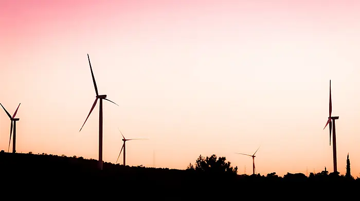 MEP Seán Kelly calls for EU action on fossil fuel reliance and rising energy costs Image
