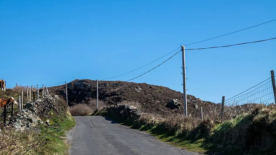 Renewal charge for telecommunication poles is welcomed Image
