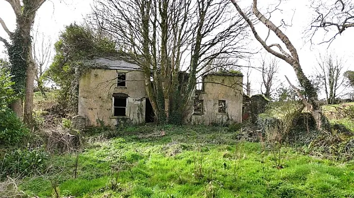 U2’s Adam might have found just what he’s looking for in derelict Kinsale farm Image
