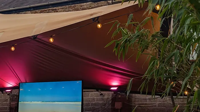 Business as usual at Wildways in Skibbereen – but courtyard to remain closed Image