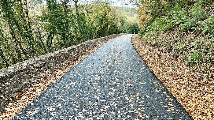 Bandon councillor slams lack of maintenance budget for €3.5m Clare O’Leary Walk Image
