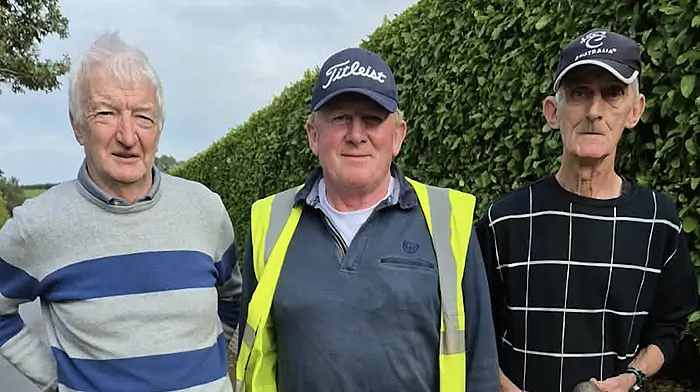 ROAD BOWLING: Vintage fare around the county of Cork Image