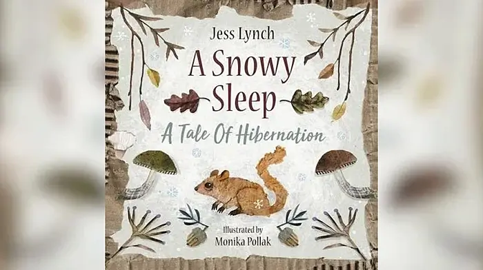 Innishannon teacher launches children's picture book on animal hibernation Image