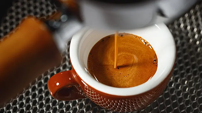 West Cork’s Coffee Renaissance: How Small Offices and Guesthouses Are Raising the Bar Image