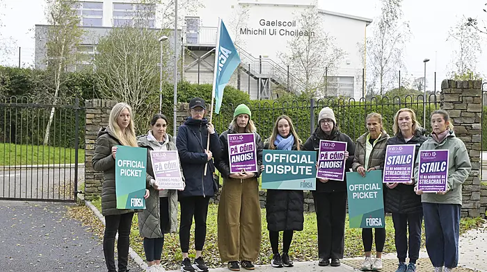 Pickets and protests throughout West Cork today Image