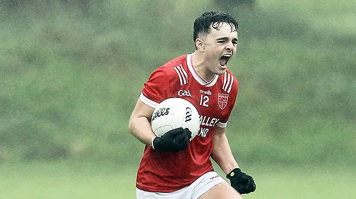 TALKING POINTS: West Cork wipe-out, Lady Luck looks away, double for St Mary’s? Image
