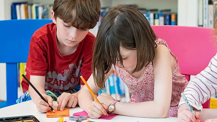 West Cork towns to host creative programme to improve social connection Image
