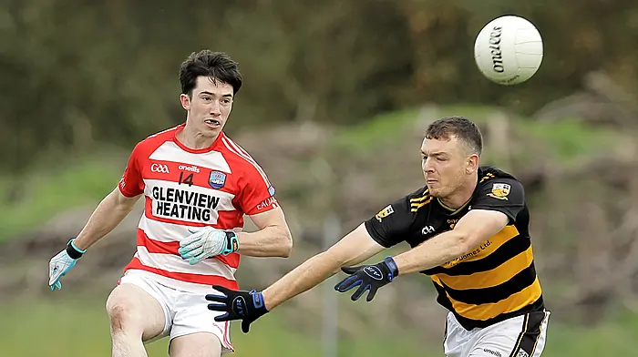 Adrigole fall short again as Beara side suffers fourth consecutive county semi-final defeat Image