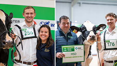 Lisroe's Helen family celebrate historic hat-trick at FBD National Dairy Show Image